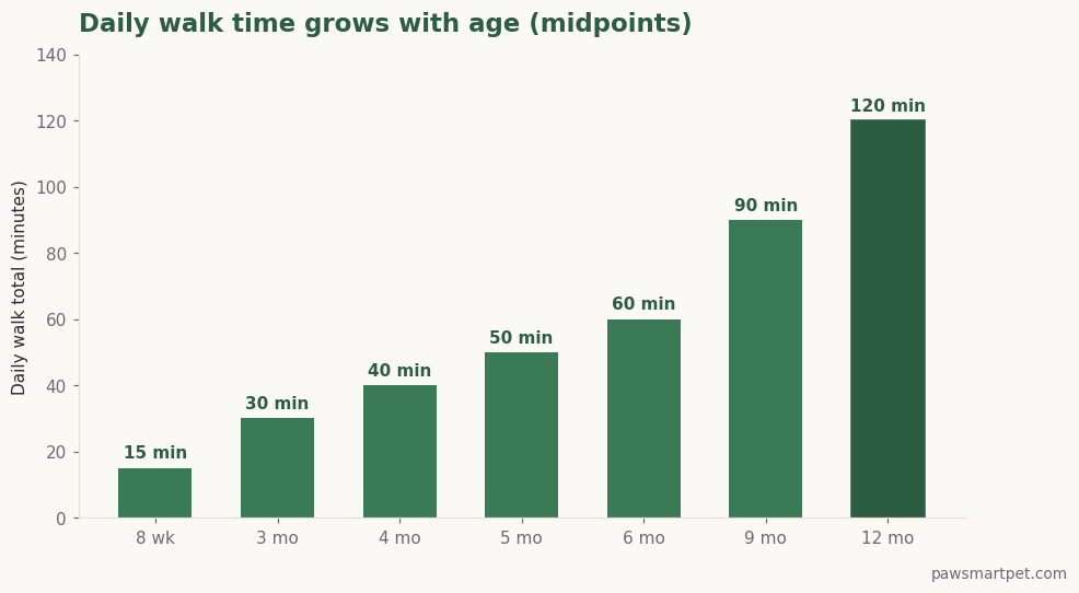 Bar chart of daily puppy walk totals rising from 15 minutes at 8 weeks to 120 minutes at 12 months