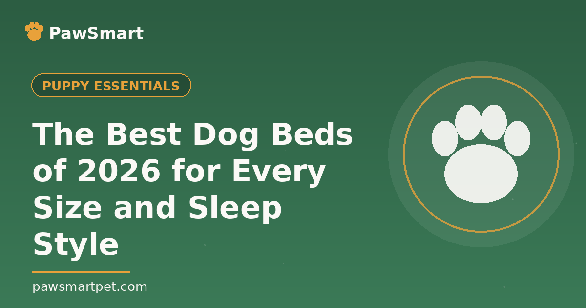The Best Dog Beds of 2026 for Every Size and Sleep Style — illustrated PawSmart guide