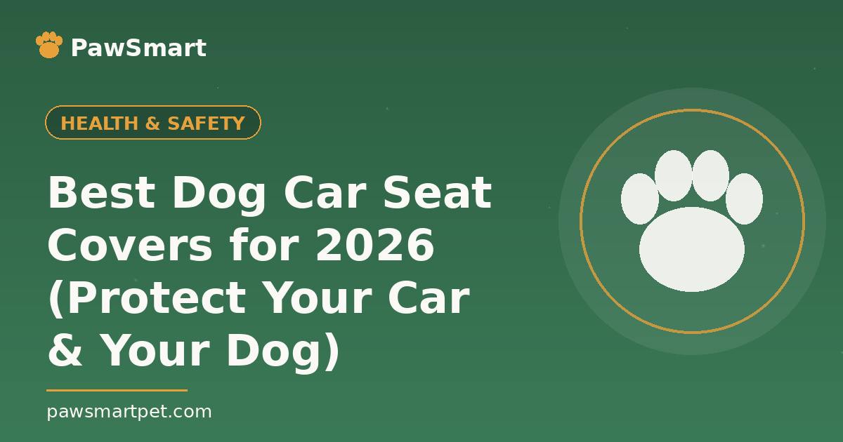Best Dog Car Seat Covers for 2026 (Protect Your Car & Your Dog) — illustrated PawSmart guide