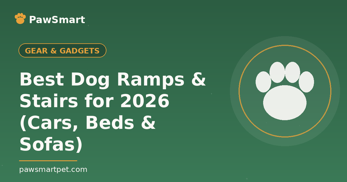 Best Dog Ramps & Stairs for 2026 (Cars, Beds & Sofas) — illustrated PawSmart guide