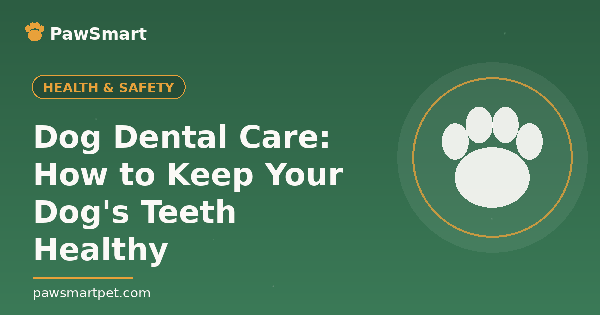 Dog Dental Care: How to Keep Your Dog's Teeth Healthy — illustrated PawSmart guide
