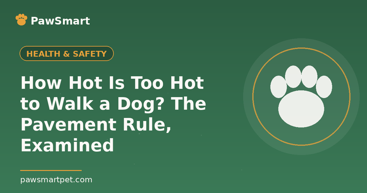 How Hot Is Too Hot to Walk a Dog? The Pavement Rule, Examined — illustrated PawSmart guide