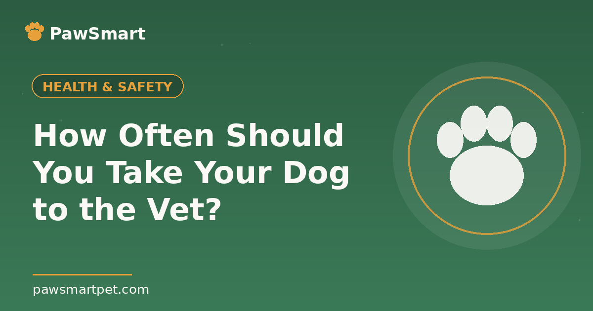 How Often Should You Take Your Dog to the Vet? — illustrated PawSmart guide