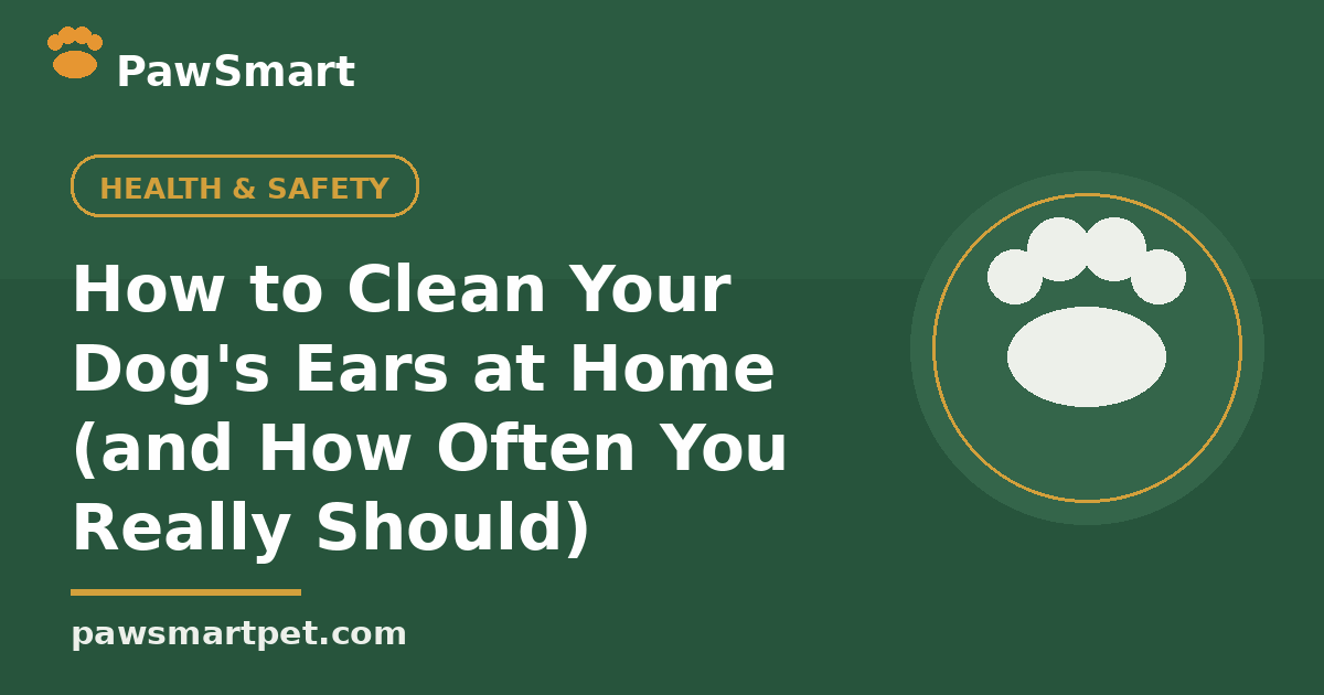 How to Clean Your Dog's Ears at Home — illustrated PawSmart guide