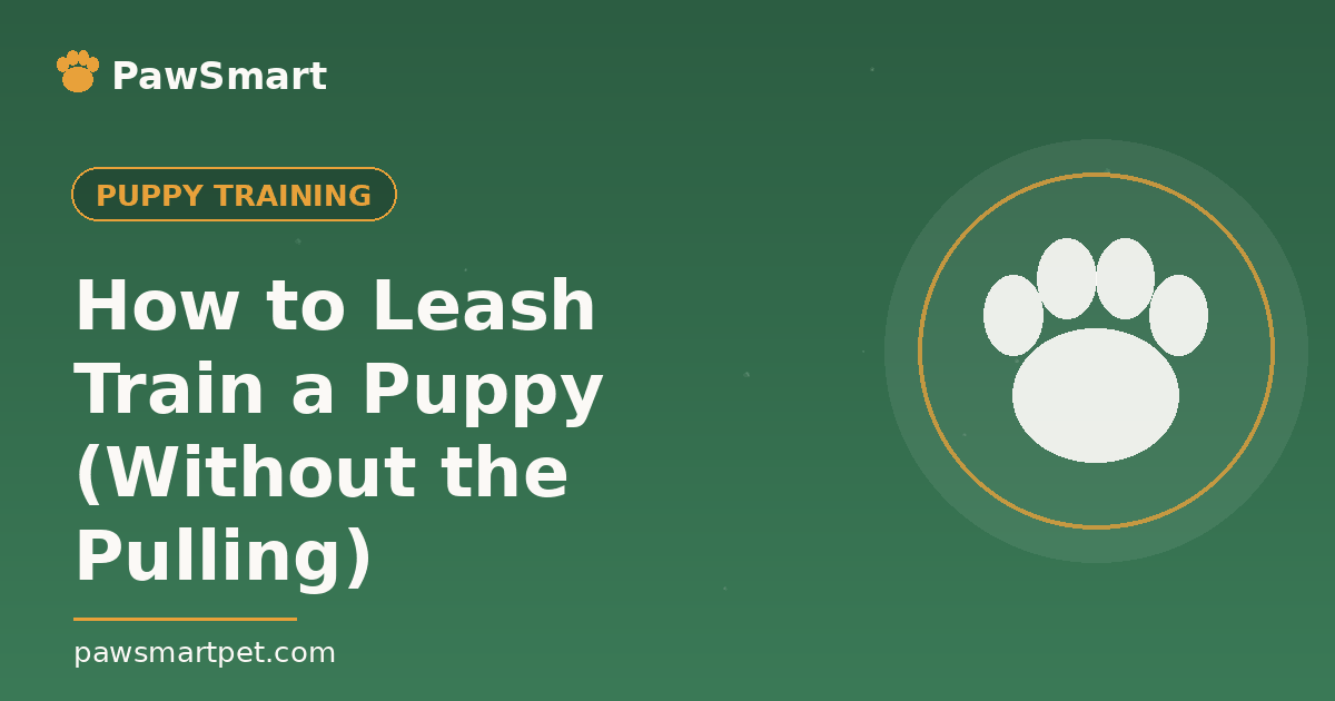 How to Leash Train a Puppy (Without the Pulling) — illustrated PawSmart guide
