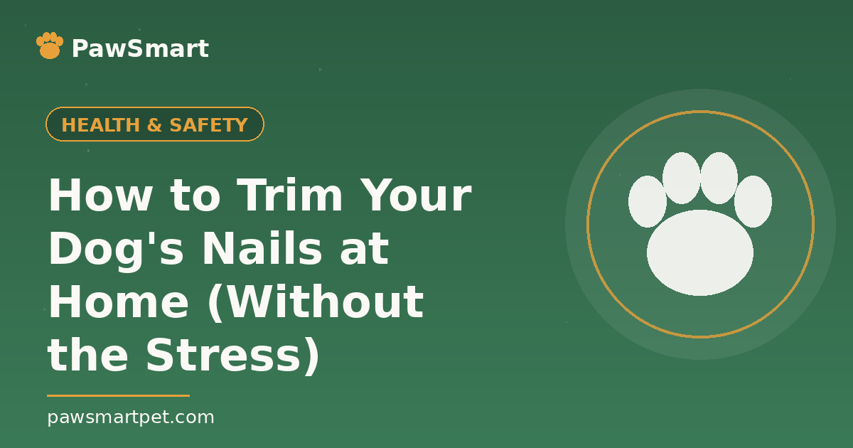 How to Trim Your Dog's Nails at Home (Without the Stress) — illustrated PawSmart guide
