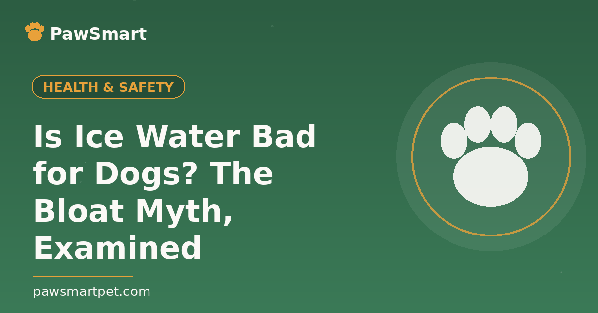 Is Ice Water Bad for Dogs? The Bloat Myth, Examined — illustrated PawSmart guide