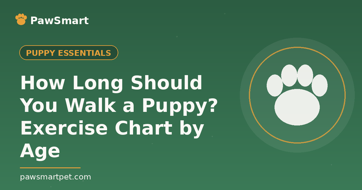 How Long Should You Walk a Puppy? Exercise Chart by Age — illustrated PawSmart guide