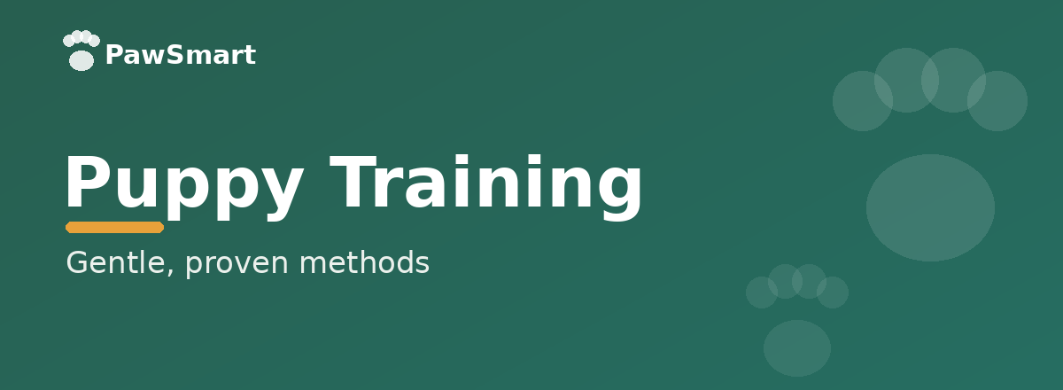 Puppy Training